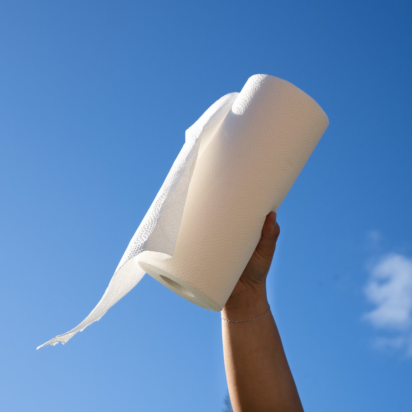 Tree Free Paper Towels (V2)